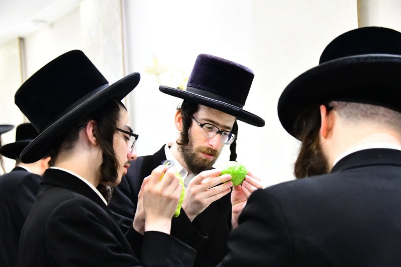 שוקי לרר