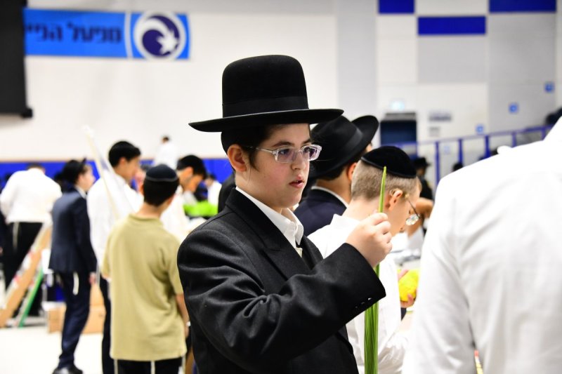 שוקי לרר