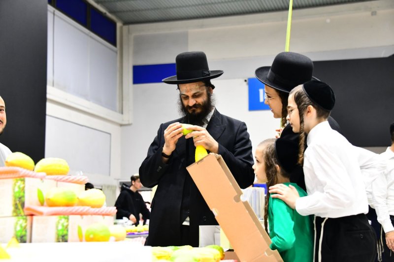 שוקי לרר
