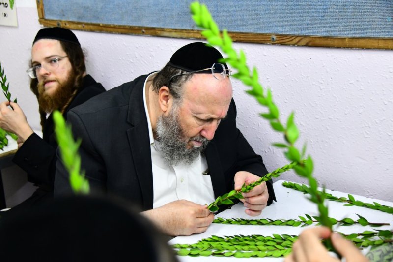שוקי לרר