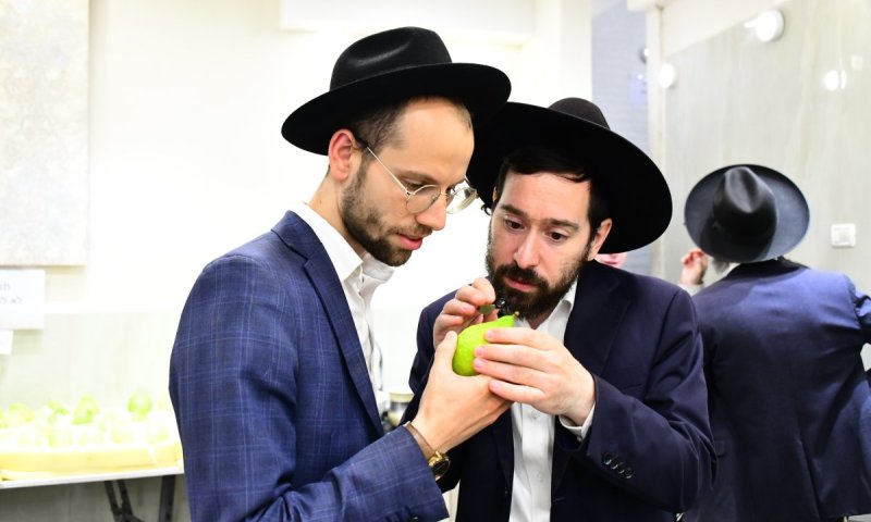 העיניים על הפיטם והדפנות ברחובות: בני ברק נערכת לחג הסוכות | תיעוד ענק
