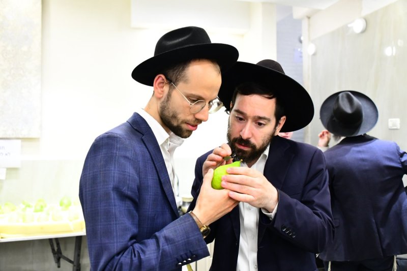 שוקי לרר