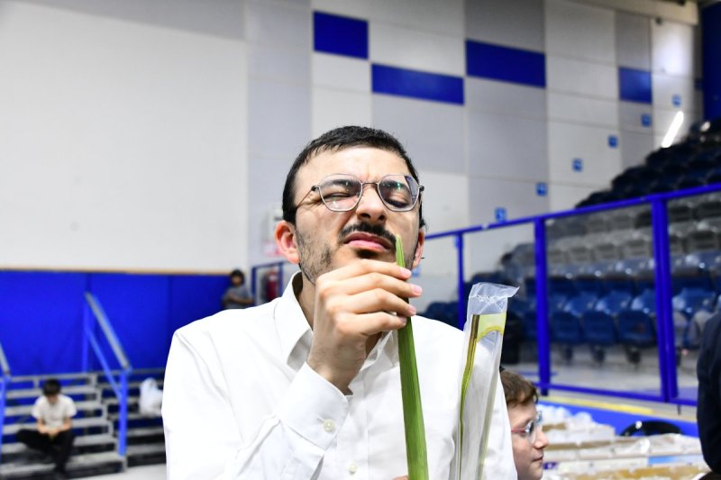 שוקי לרר