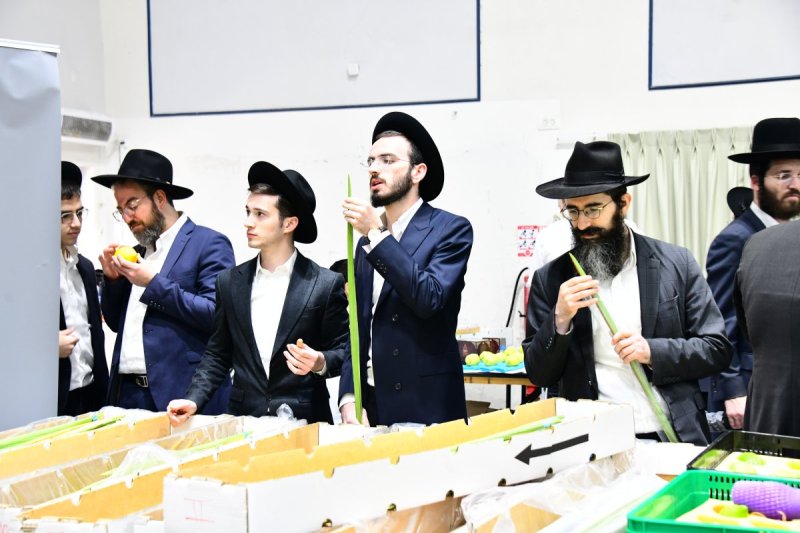 שוקי לרר