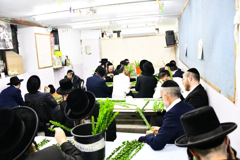 שוקי לרר