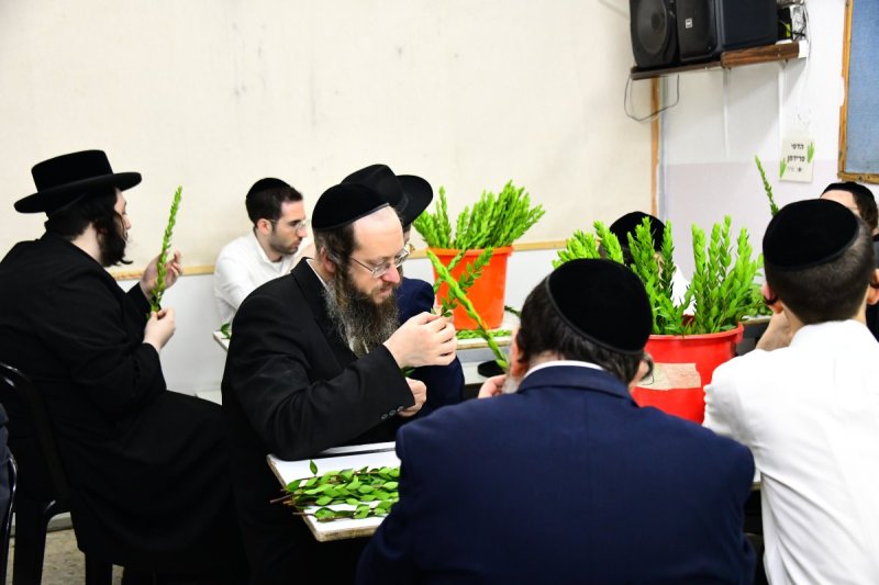 שוקי לרר