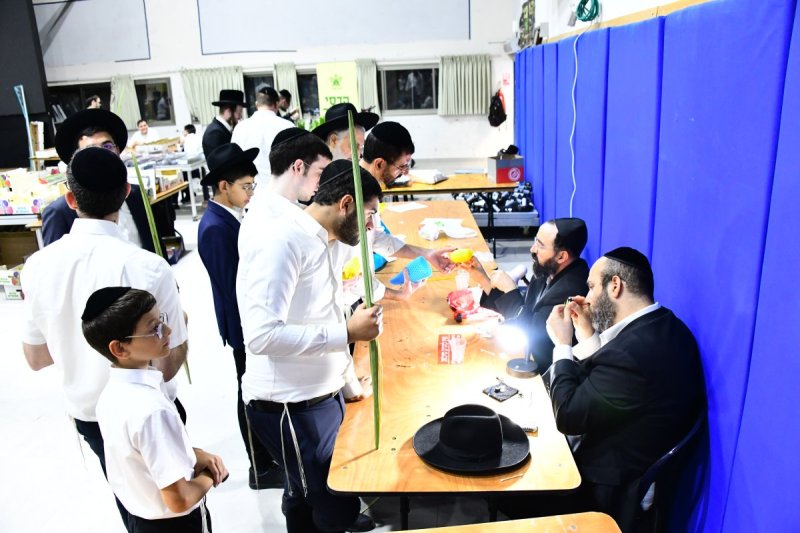 שוקי לרר