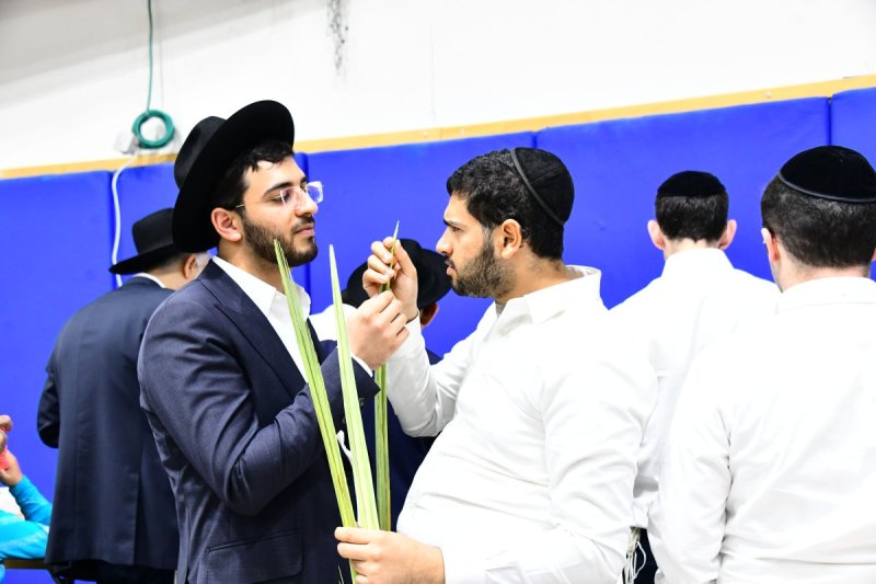 שוקי לרר