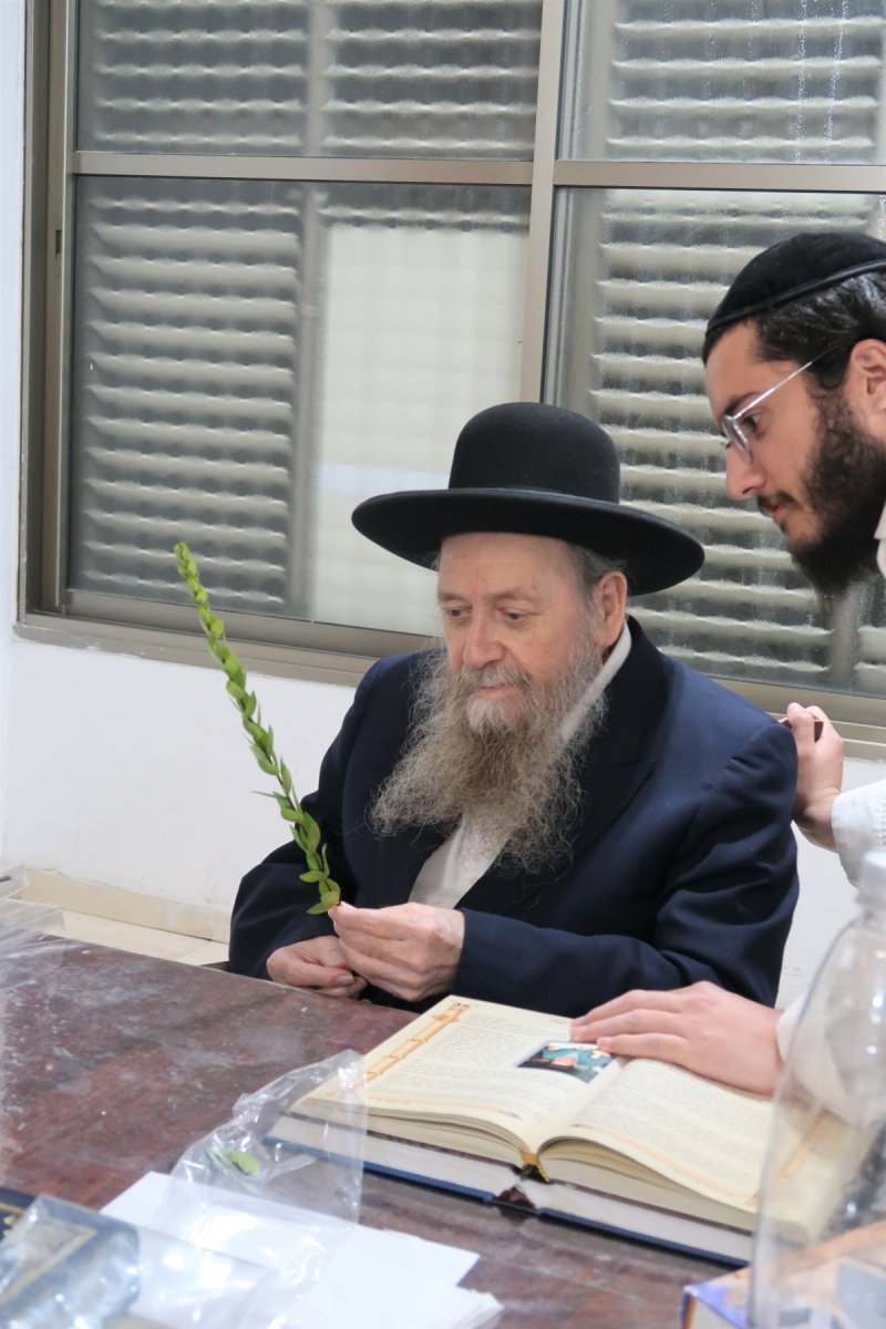 י. פריד