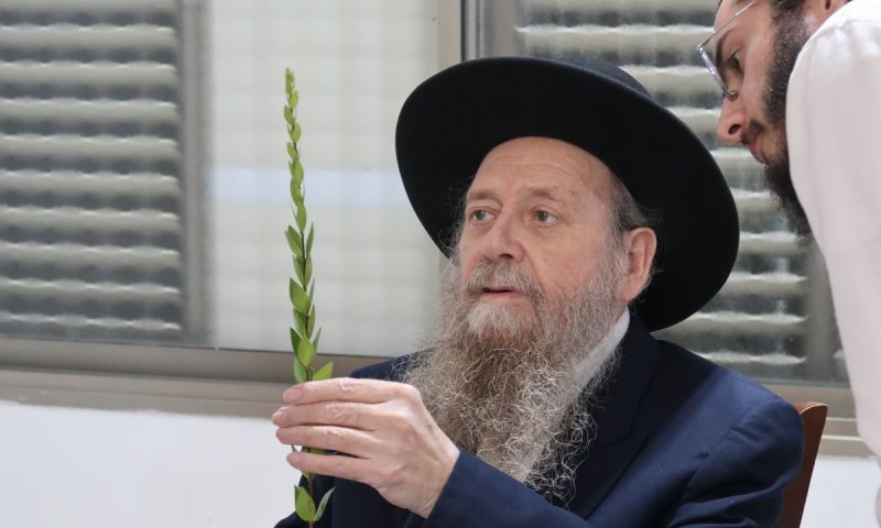 יממה לפני פטירתו: המקובל רבי דוד בצרי זצ"ל בבדיקת ד' מינים בשמחה