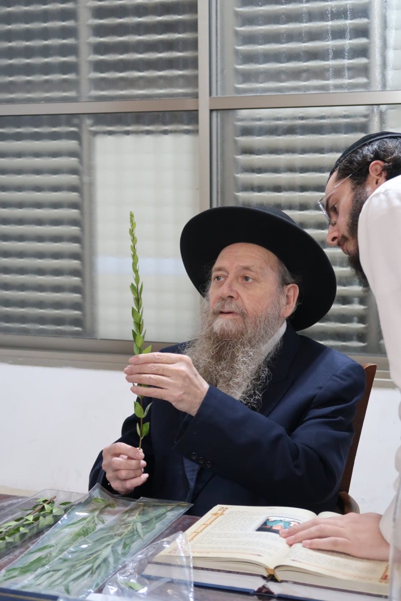 י. פריד