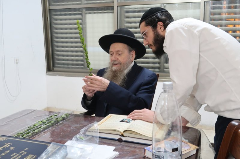 י. פריד