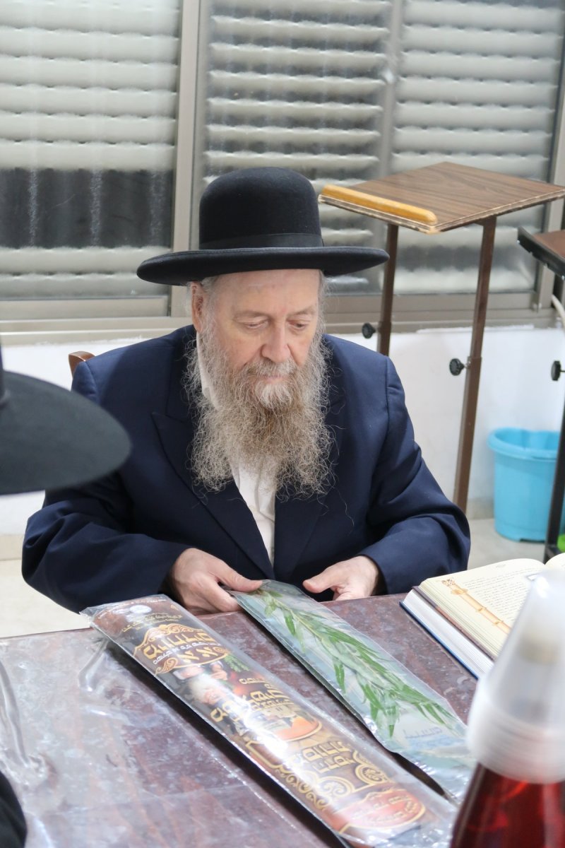 י. פריד