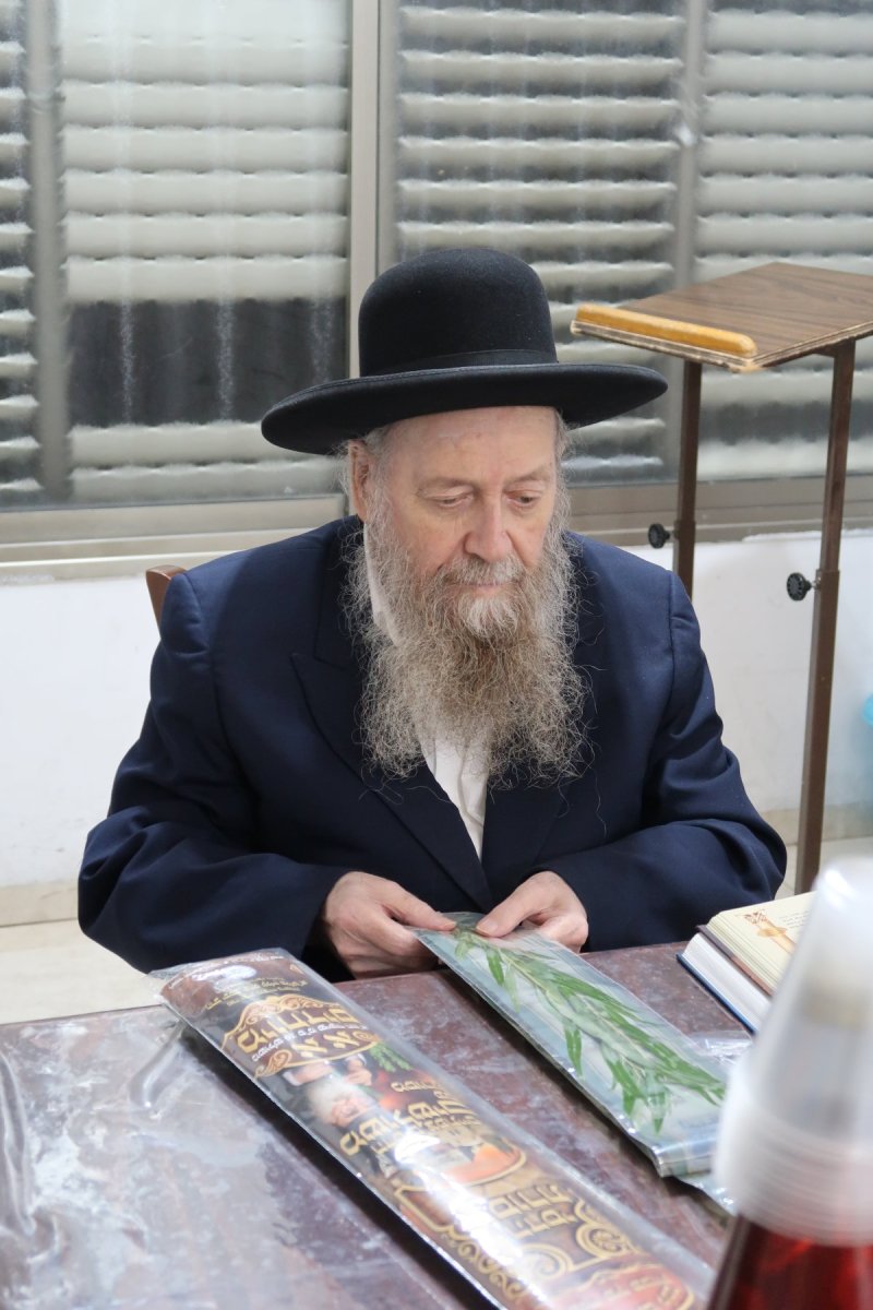 י. פריד