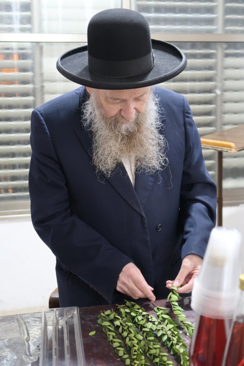 י. פריד