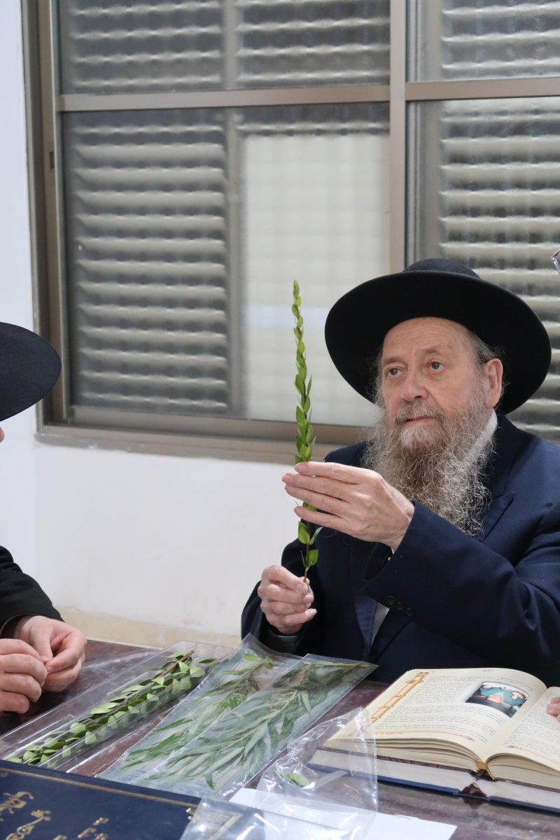 י. פריד