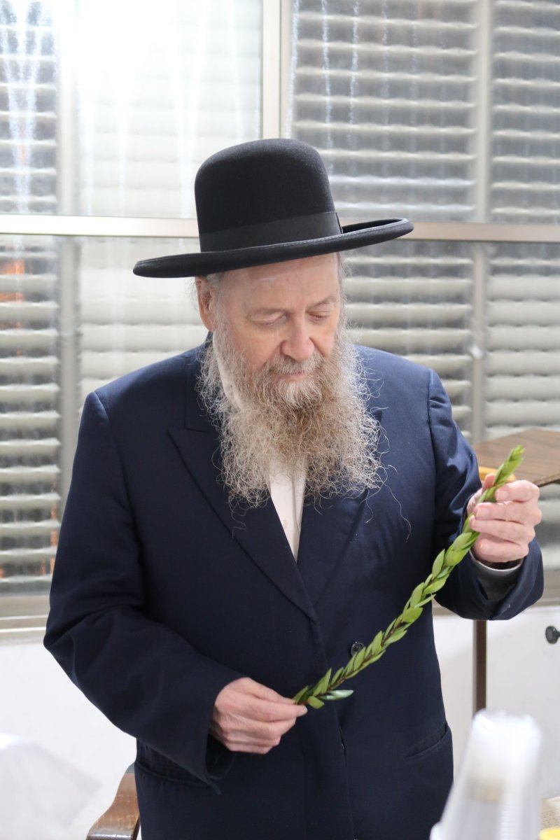 י. פריד
