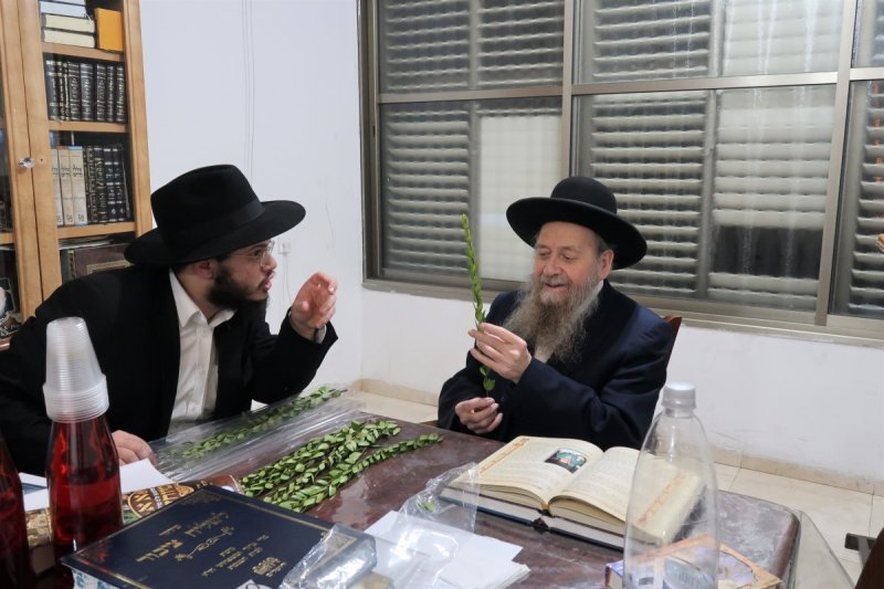 י. פריד