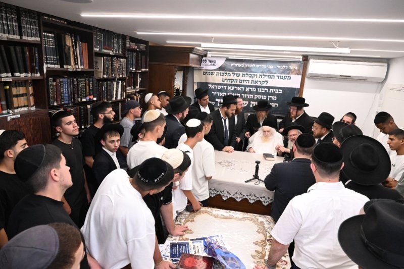ליפא מוזר