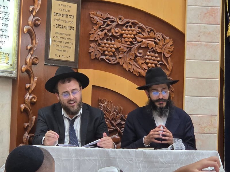ליפא מוזר