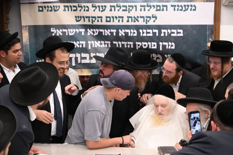ליפא מוזר