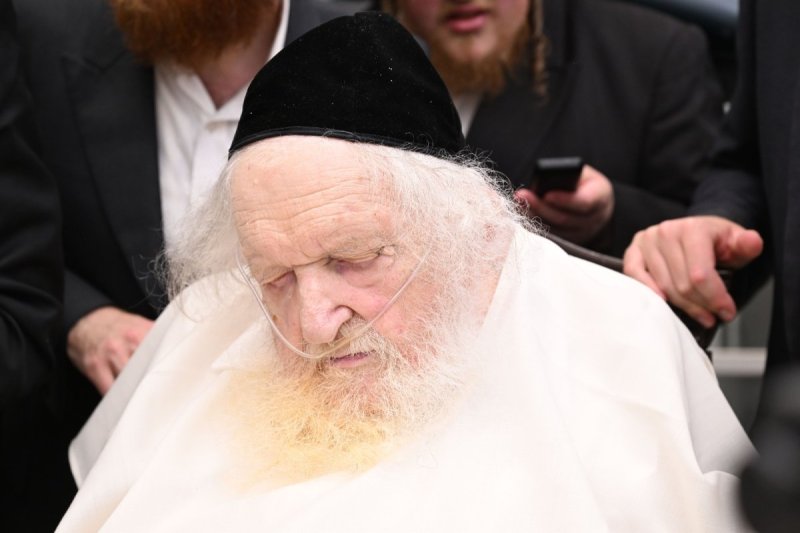 ליפא מוזר