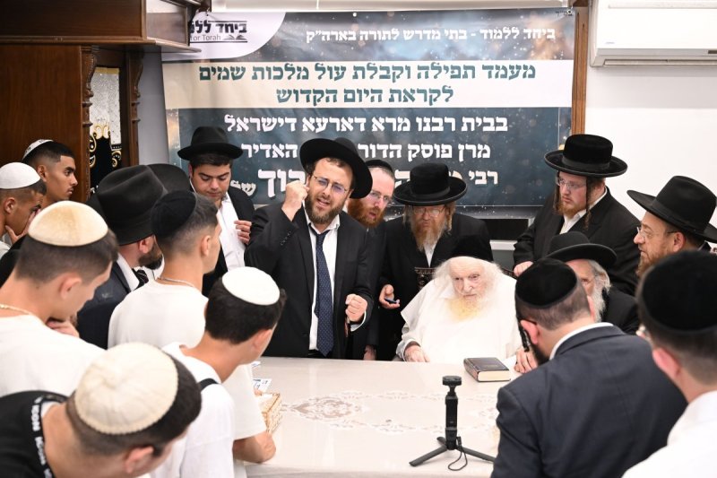 ליפא מוזר