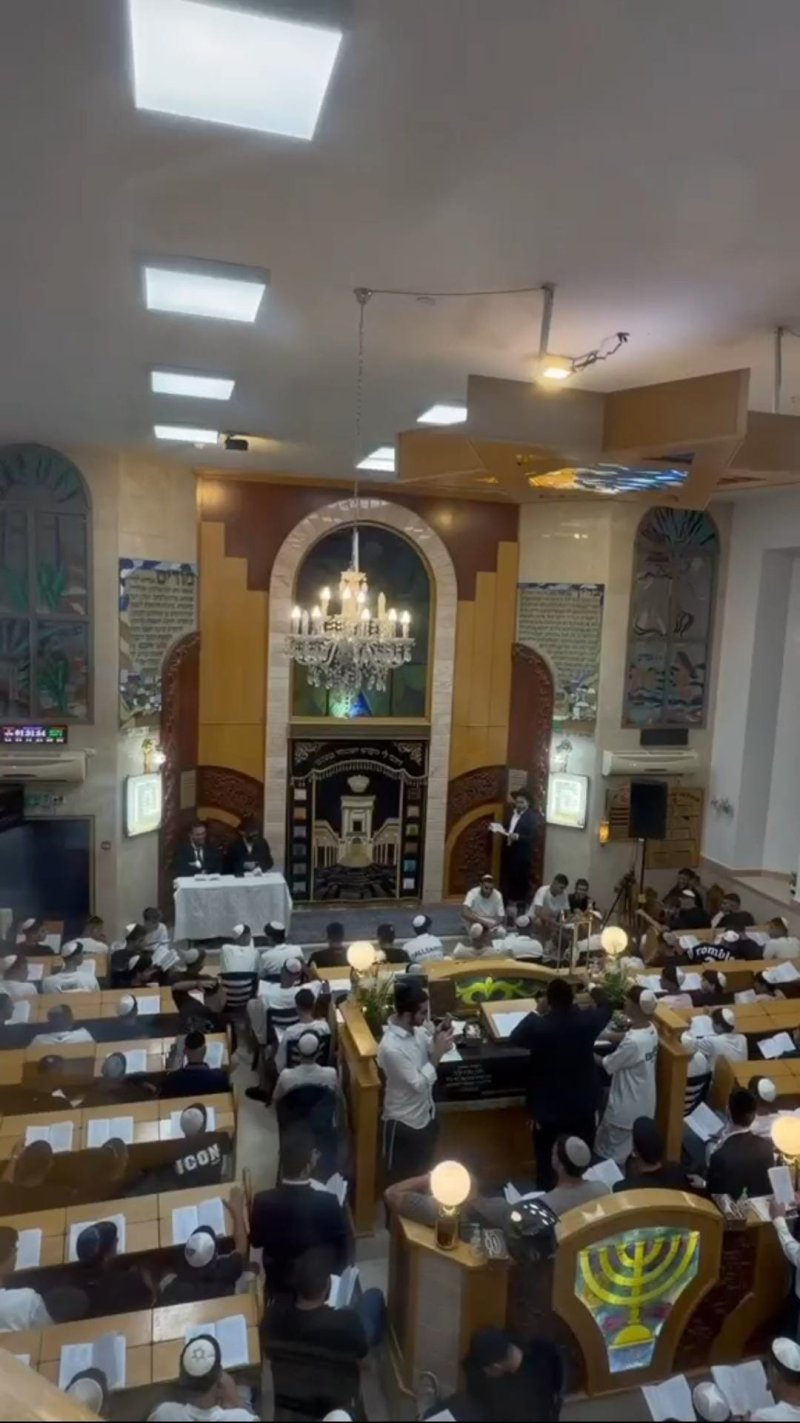 ליפא מוזר