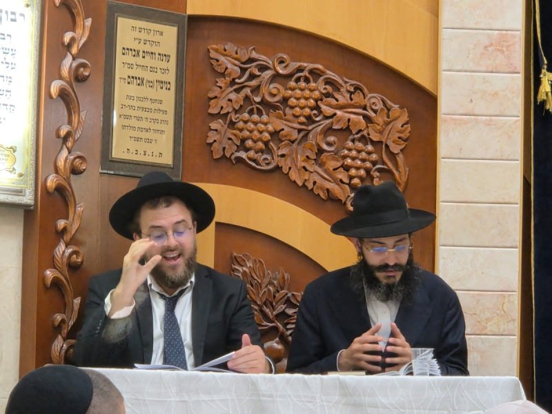 ליפא מוזר