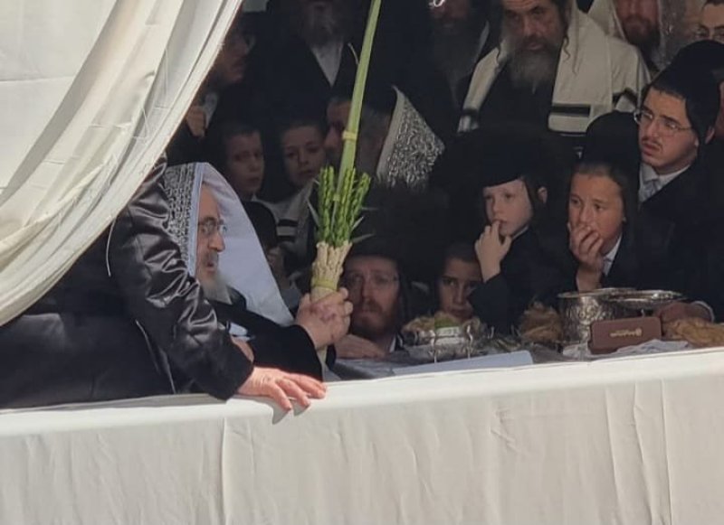 באדיבות המצלם