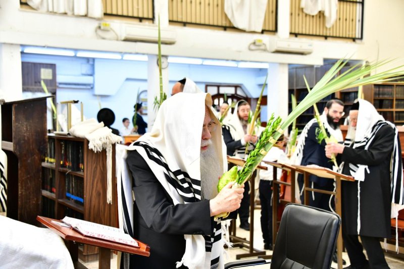 שוקי לרר