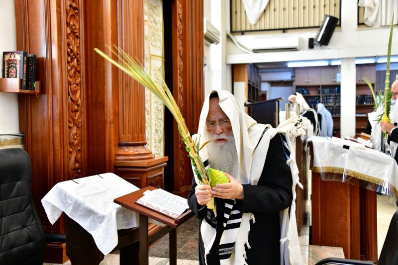 שוקי לרר