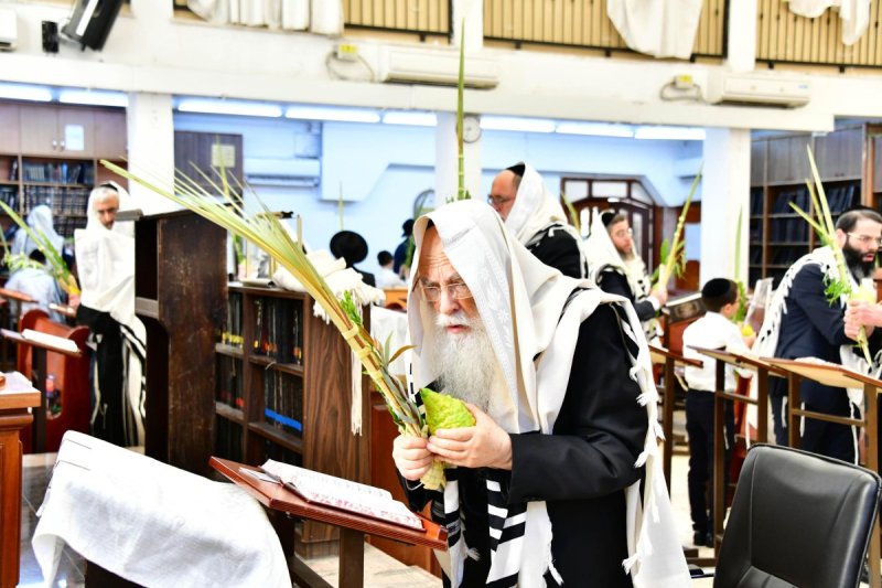 שוקי לרר