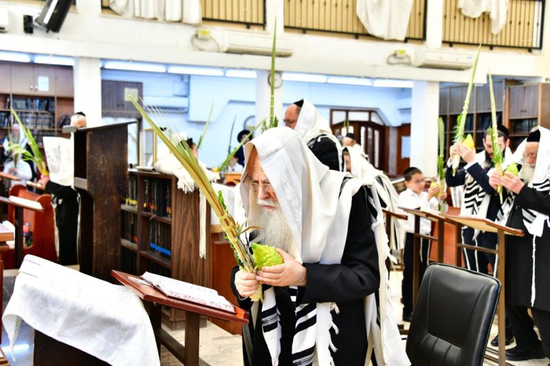שוקי לרר