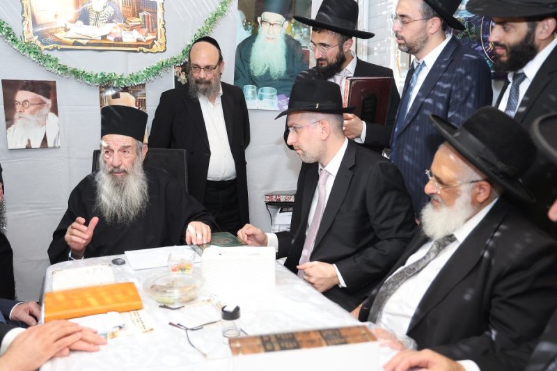 נועם אליהו