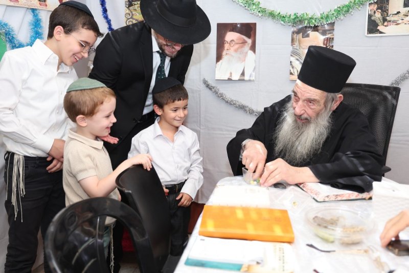 נועם אליהו