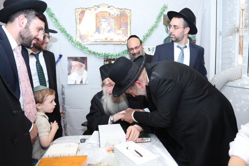 נועם אליהו