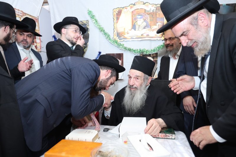נועם אליהו