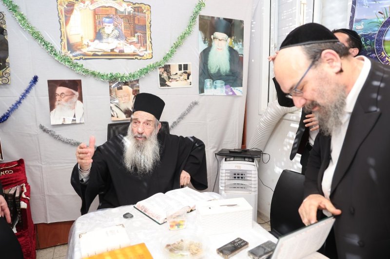 נועם אליהו