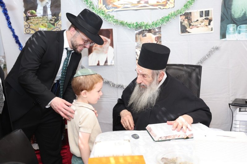 נועם אליהו