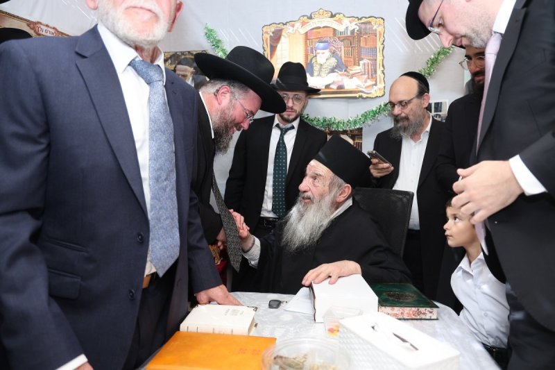 נועם אליהו