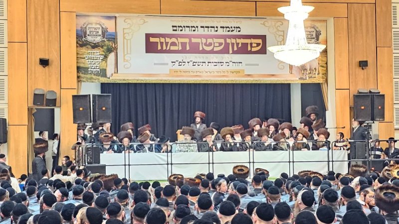 באדיבות המצלם