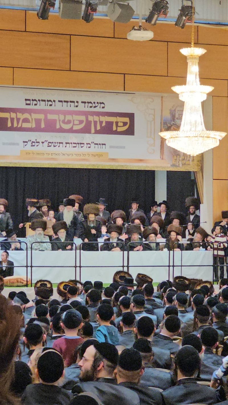 באדיבות המצלם
