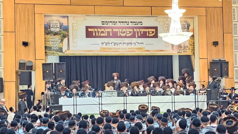 באדיבות המצלם