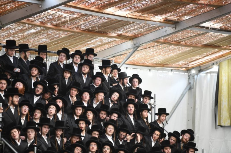 אנשיל בעק