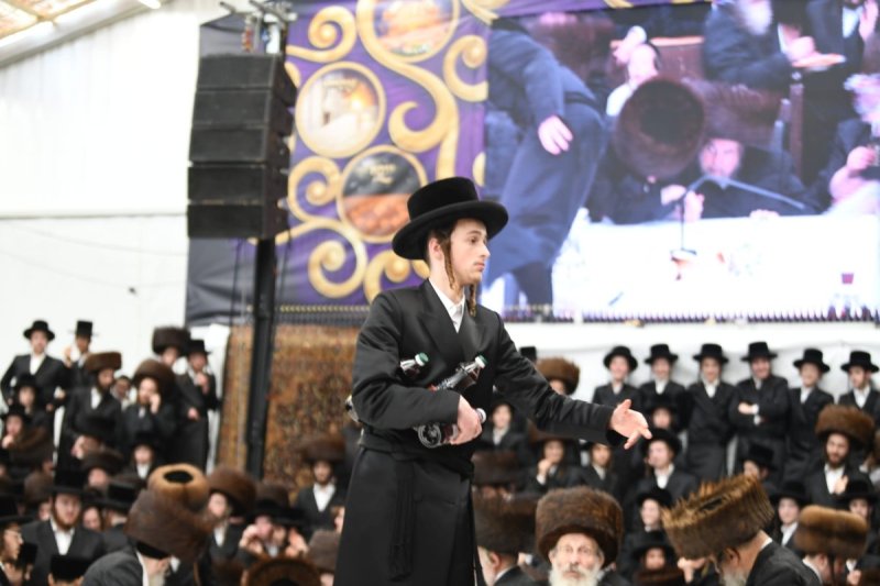 אנשיל בעק