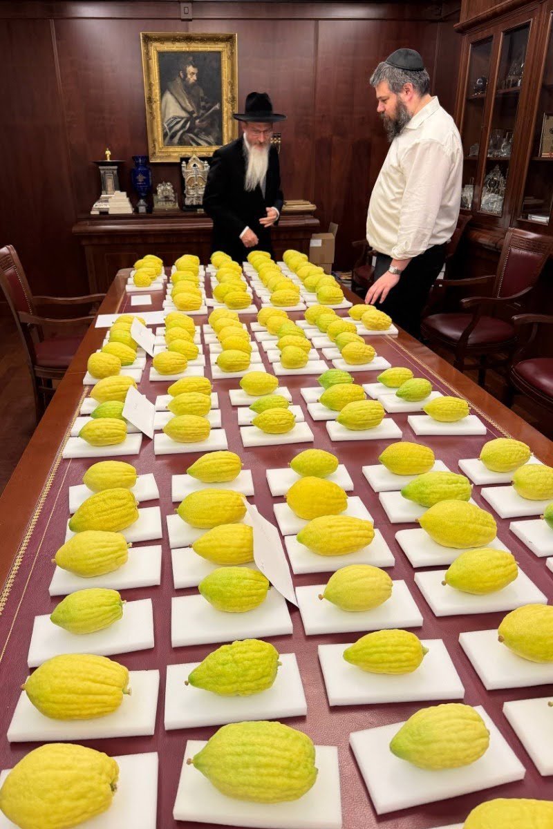 לוי נאזרוב