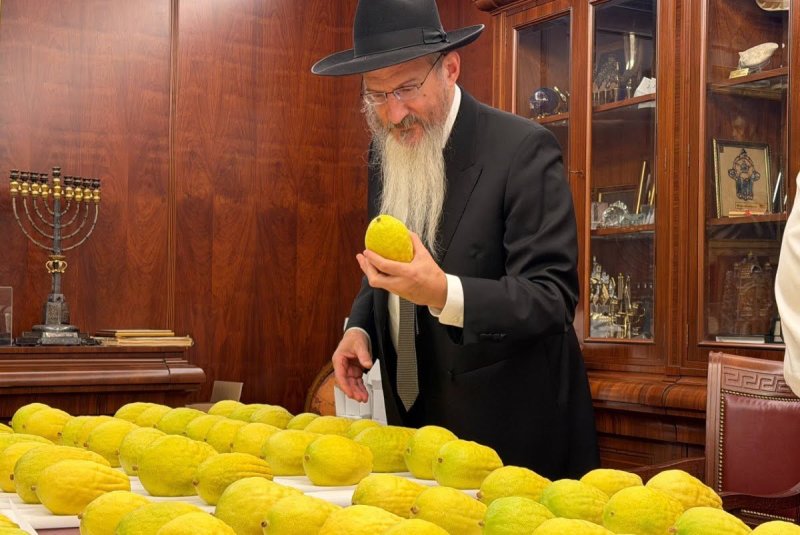 לוי נאזרוב