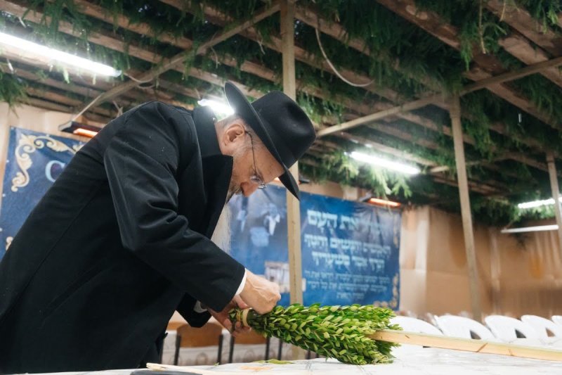 לוי נאזרוב