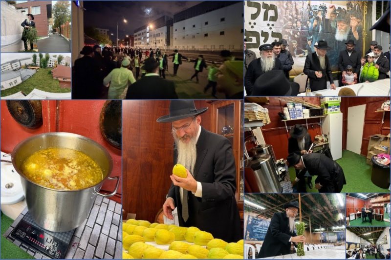 לוי נאזרוב